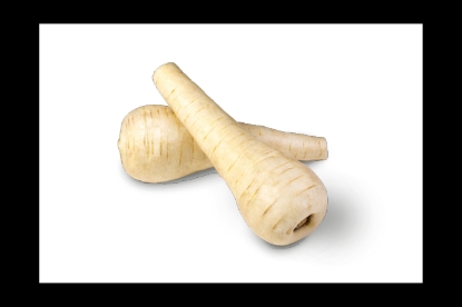 Picture of Parsnip Javelin F1